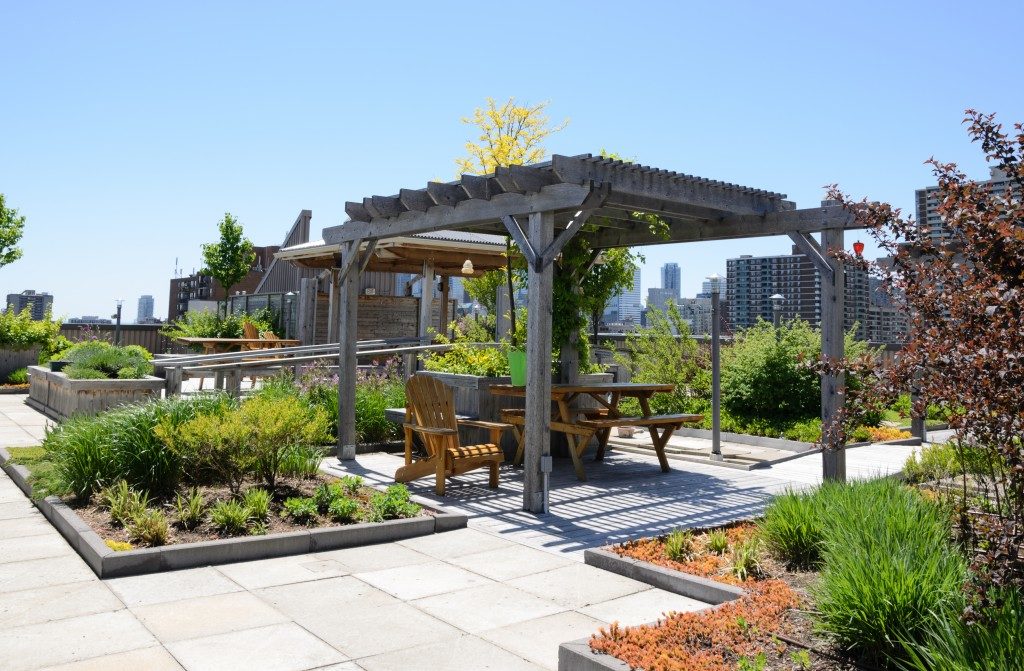 Landscape Design -Rooftop garden in urban setting